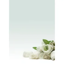 Carta con stampa "rosa bianca" - A4 - 90 gr - Decadry - conf. 20 fogli