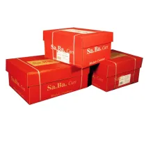 Carta in modulo continuo - 37,5 x 11 " - 2 copie - 53 gr - piste staccabili - lettura facile grigio - Sabacart - conf. 1000 fog