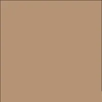 Cartine antigrasso per alimenti - 20 x 32,5 cm - avana - Leone - conf. 500 pezzi