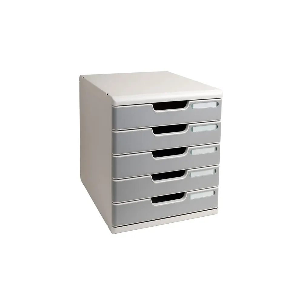 Cassettiera Modulo A4 - 28,8 x 32 x 35 cm - 5 cassetti - grigio/granito - Exacompta