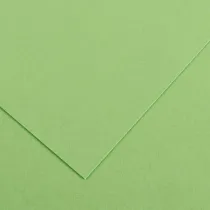 Foglio Colorline - 70x100 cm - 220 gr - verde mela - Canson