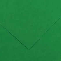 Foglio Colorline - 70x100 cm - 220 gr - verde vivo - Canson