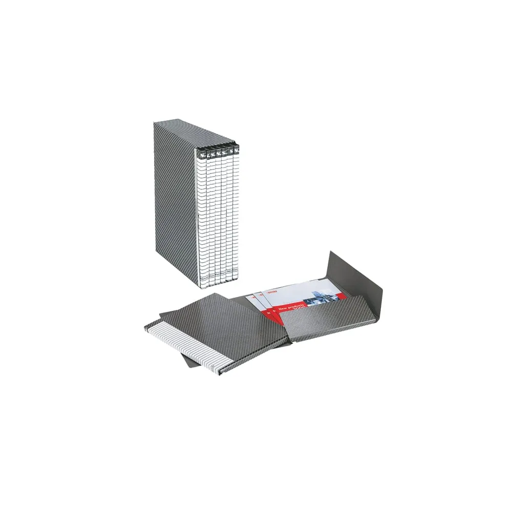 Gruppo Delso Line - 25 x 32 cm - 6 cartelle 2 lembi - con custodia - dorso 1,5 cm - grigio - Esselte