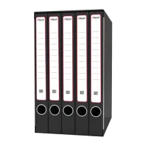 Gruppo registratori Quintetto - 23 x 32 cm - con 5 cartelle 3 lembi - dorso 23 cm - grigio - Rexel