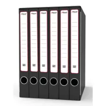 Gruppo registratori Sestetto - 23 x 33 cm - con 6 cartelle 3 lembi - dorso 23 cm - grigio - Rexel