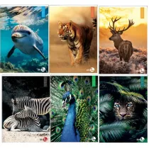 Maxiquaderno Animal fantasia - A4 - rigo di 3a - 40+2 fogli - 80gr - BM