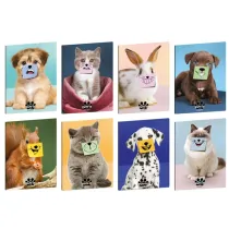 Maxiquaderno Pets-IT - A4 - 4mm c/margine - 20+1 fogli - 80 gr - Blasetti