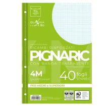 Ricambi forati rinforzati Pignaric - A4 -  4mm - 80gr - Pigna - conf. 40 pezzi