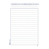 Schede in cartoncino rigate - 10,5 x 15 cm verticale - Edipro - conf. 100 pezzi